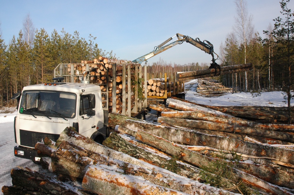 Погрузка леса на сортиментовоз в ЭЛОХ Барсуки.jpg