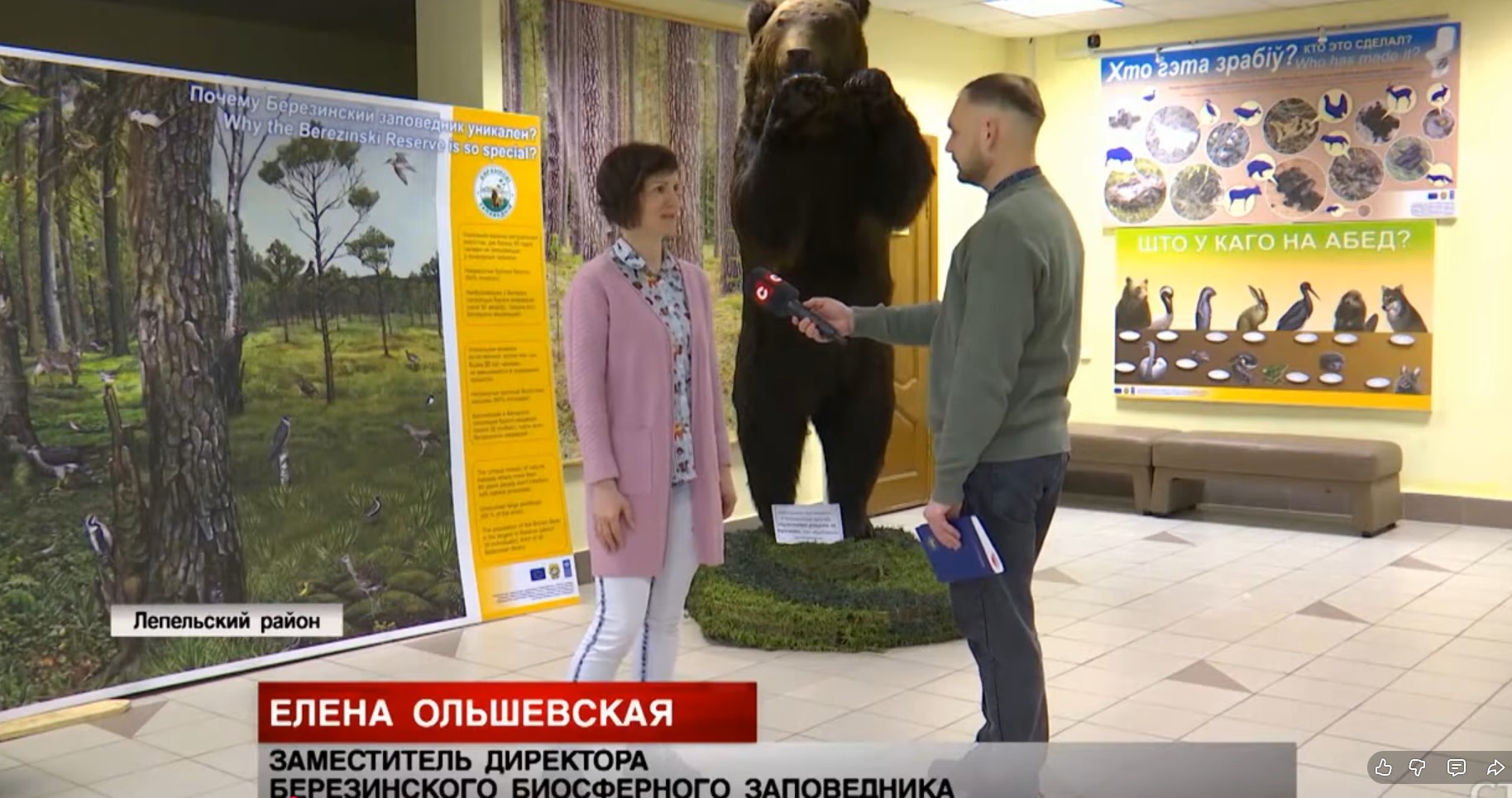 Репортаж «СТВ» о медведях в заповеднике